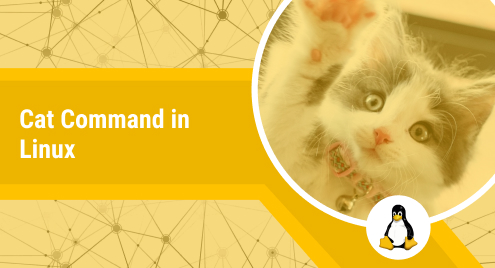 7 Examples of Cat Command in Linux