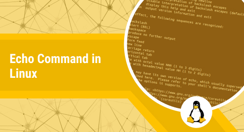 13 Examples of Echo Command in Linux