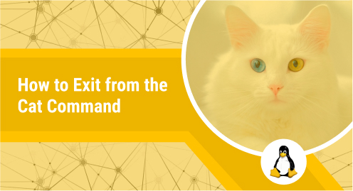 How-Exit-from-the-Cat-Command