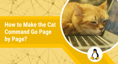 How to Make the Cat Command Go Page by Page? - Linux Genie