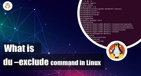 What is du –exclude Command in Linux?