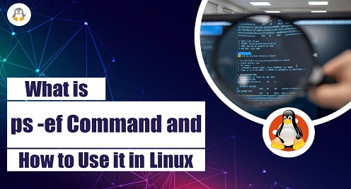What is ps -ef Command and How to Use it in Linux