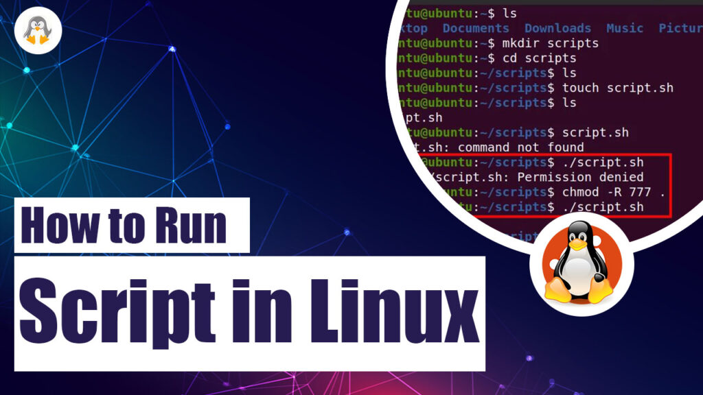 How to Run Script in Linux