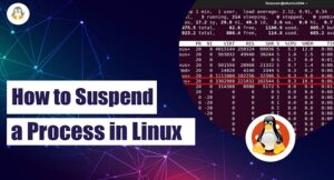 How to Suspend a Process in Linux - Linux Genie