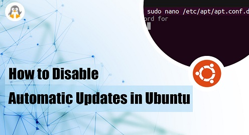 disable automatic update
