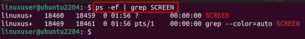 How to Kill a Screen Session in Linux? | linuxgenie.net