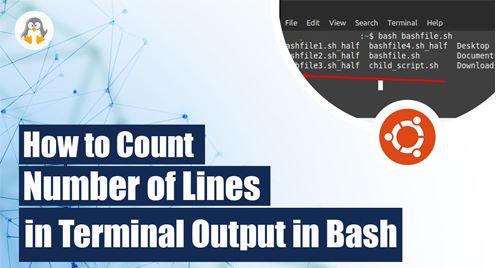 Count Number of Lines in terminal output in bash