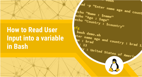 How to Read User Input Into a Variable in Bash?