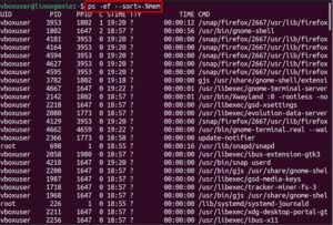 ps -ef Command in Linux | Explained - Linux Genie