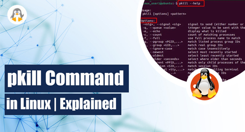 pkill Command in Linux | Explained