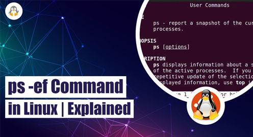 ps -ef Command in Linux | Explained