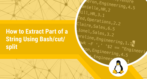 How to Extract Part of a String Using Bash_cut_split?