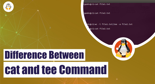 Difference Between the cat and the tee Commands