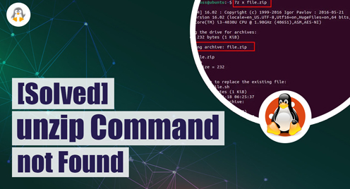 [Solved]: unzip command not found