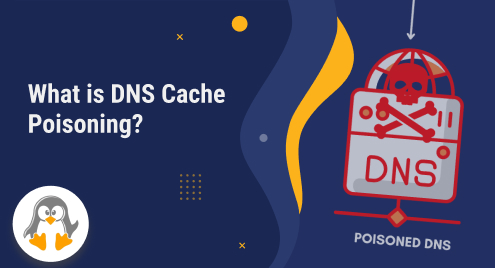 What is DNS Cache Poisoning