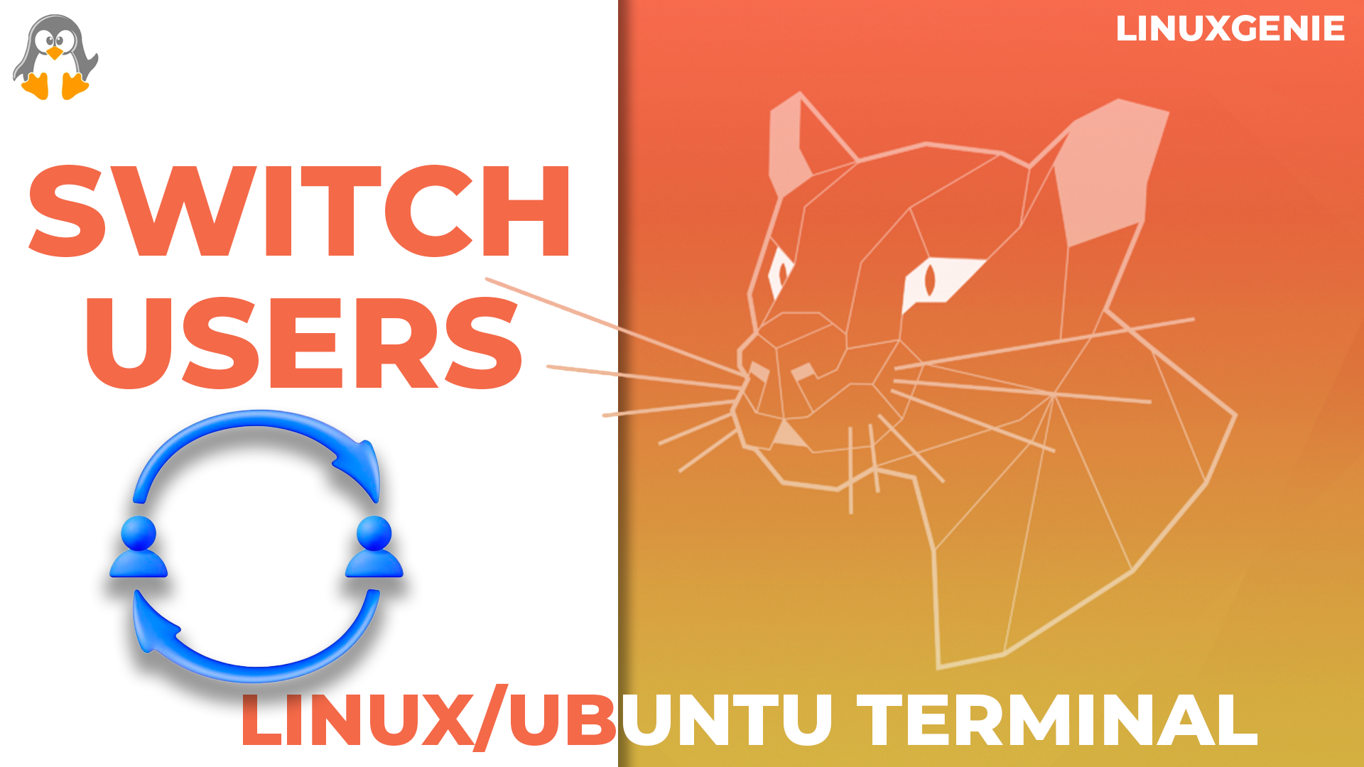 How to Switch Users in Linux/Ubuntu Terminal?