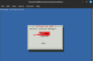 How to Install GNOME Desktop Environment on Linux Mint? - Linux Genie