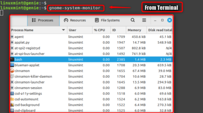 How to Use/Manage Task Manager on Linux Mint? - Linux Genie