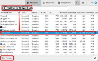 How to Use/Manage Task Manager on Linux Mint? - Linux Genie