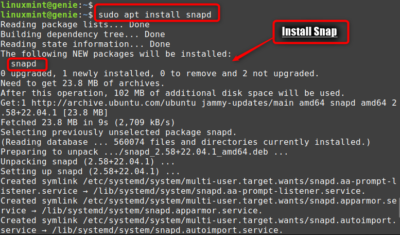 How to Install Package Manager on Linux Mint? - Linux Genie