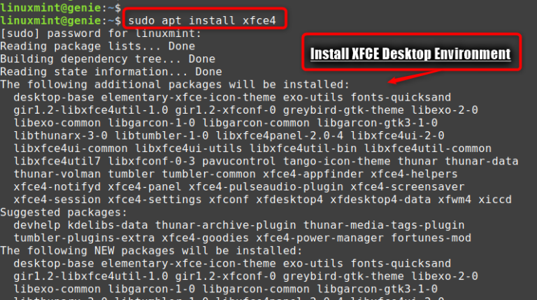 How to Install and Setup Remote Desktop on Linux Mint? - Linux Genie