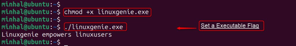 How to Install Mono on Ubuntu 24.04? - Linux Genie