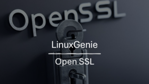 OpenSSL s_client Tutorial and Examples - Linux Genie